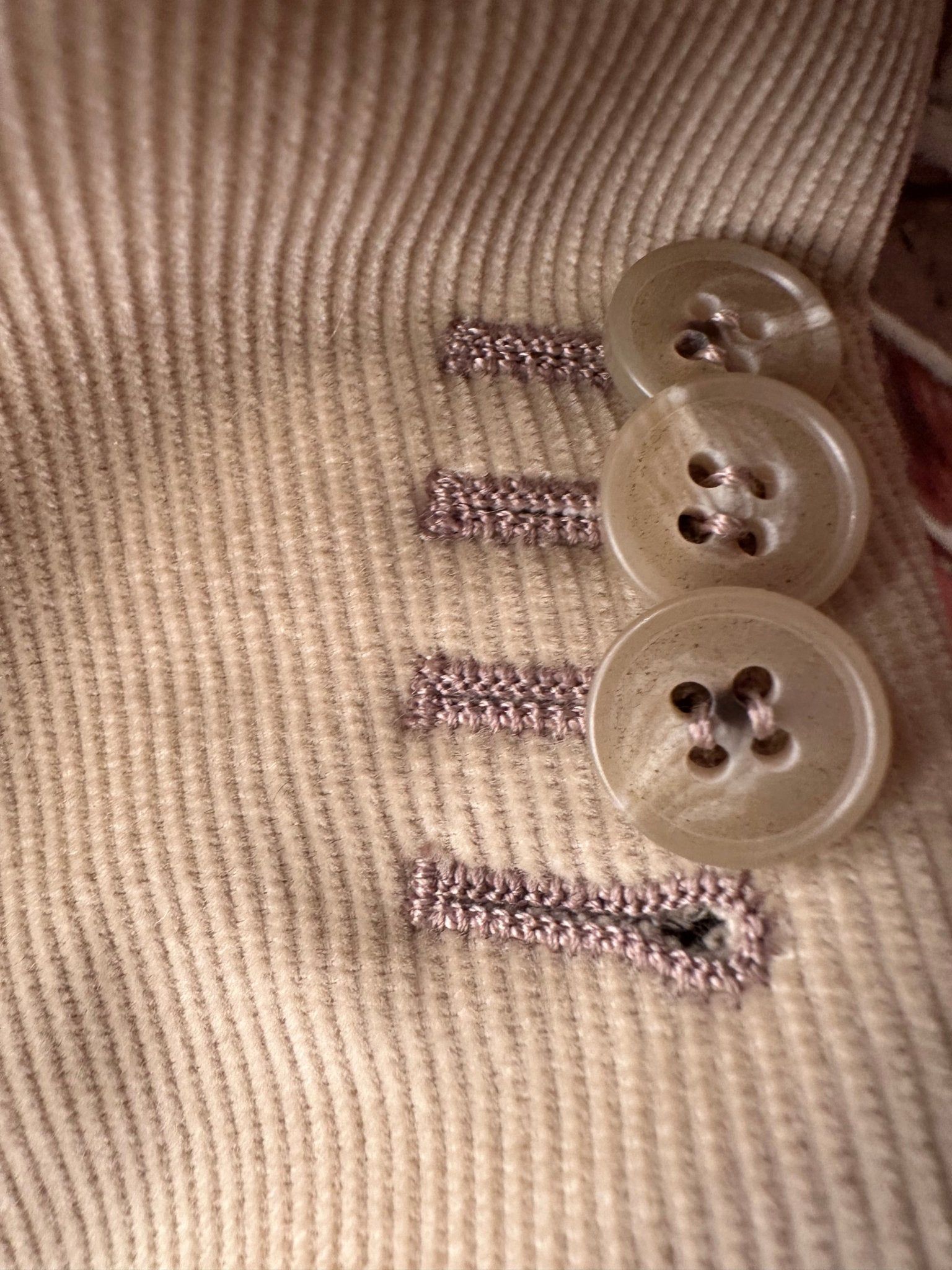 Zegna Sakko Cord - 24/7 Clothing